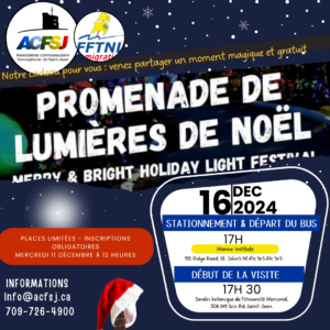 En savoir plus sur l'article Promenade féérique au Merry & Bright Holiday Light Festival