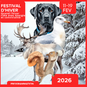 Read more about the article Troisième Édition du Festival Hiver 2026