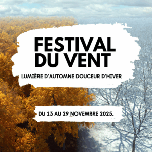 Read more about the article FESTIVAL DU VENT