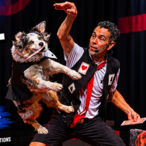 Read more about the article CHIEN SHOW – MAGICIEN & MAGIE-CHIEN EN SPECTACLE