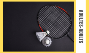 En savoir plus sur l'article Badminton
