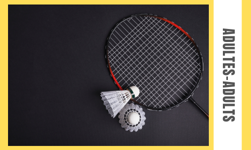 Read more about the article Badminton