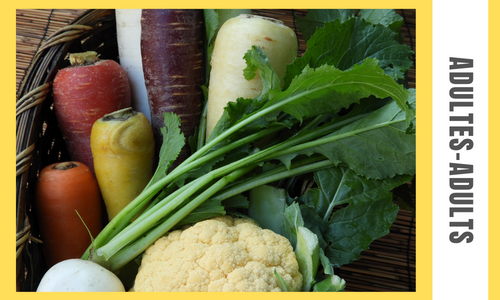 Read more about the article Root Cellar To-Go: 